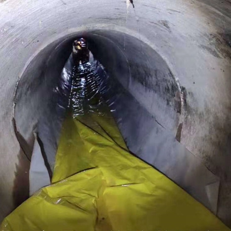 东区管道光固化修复